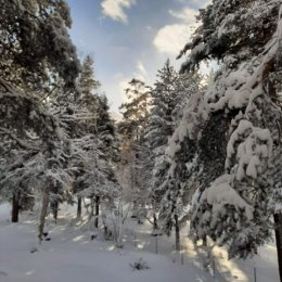 Фотография от Ольга Решетникова (Скиба)