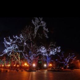 Фотография "Одежда напоминающая иллюминацию большого города. Лично меня завораживает. И это тоже выбор, как в жизни - кому-то нужна тишина и вид на морскую гладь или лес, а я, как мотылек - лечу на огонь. Но даже не могу представить, по какому поводу я бы смогла надеть такое платье. 🤔
Делитесь своими предпочтениями и мыслями. 🤗"