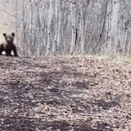 Фотография от Василий Малиновский