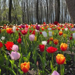 Фотография от МЕТЕЛИЦА ресторан гостиница