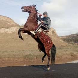 Фотография от Botir Xolboyev