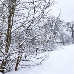 Фотография от Светлана Бородовская