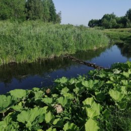 Фотография от Андрей Худинский