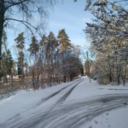 Фотография "В Подмосковье опять пришла зима!"