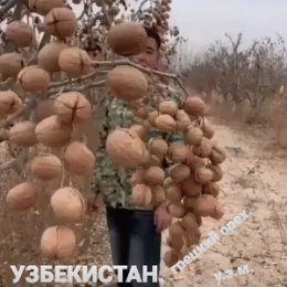 Фотография от Надежда Чёрная