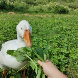 Фотография от Валентина Орлова