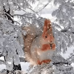 Фотография от Татьяна Перванчук (Бубуёк)