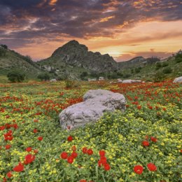 Фотография "Красивый Таджикистан.Бохтар-Дангара-Куляб"