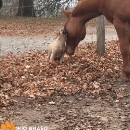 Фотография от Галина Устюжанина