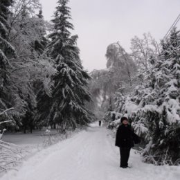 Фотография "Зима НОВЫЙ ГОД прогулка в сосновым бору Жаворонки."