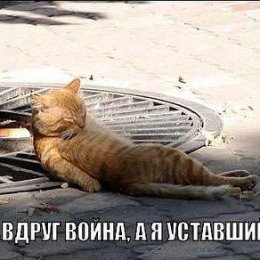 Фотография "Не забудьте раздать пехотинцам стимулятор «Берсерк» перед боем! http://www.odnoklassniki.ru/game/crisis?sm_type=viral&sm_st1=photo&sm_st2=cat_2"