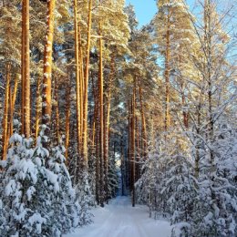 Фотография от Александр Македонский