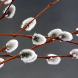 Фотография от Виталий Овчинников