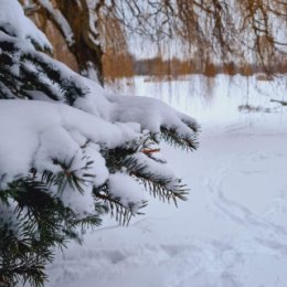 Фотография от Наташа Коваль