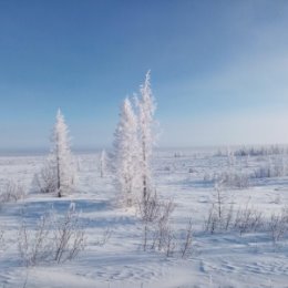 Фотография от Аркадий Белянко