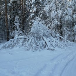 Фотография от ольга рыбина