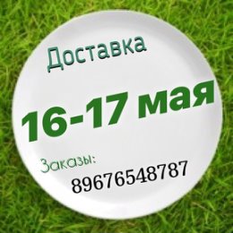 Фотография "❇️Заказы на ватсап: 89676548787📝📝📝 . ❇️с Любовью и Заботой ЭкоЕда01 💚💚💚😍"