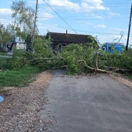 Фотография "ВЕТЕР НАДЕЛАЛ БЕД. СЛОМАЛ ЗАБОР --В РОДИТЕЛЬСКОМ ДОМЕ ВАЛИ. И ПОВРЕДИЛ ДЕРЕВЕНСКУЮ ЭЛЕКТРОЛИНИЮ."