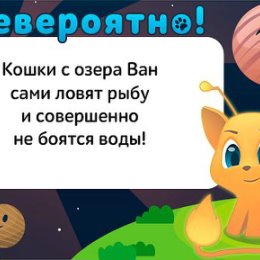 Фотография "Узнаём новые факты обо всём - http://ok.ru/game/1104636160?pla3-3.jpg"