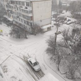 Фотография "у нас выпал первый снег!"