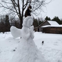 Фотография от Валентина Элевич(Махнёва) 