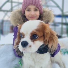 Фотография от Анатолий Томенко