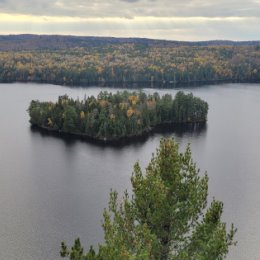 Фотография от Александр Кривых