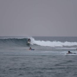 Фотография "Мальдивская Республика, Остров Huraa, Спот - Sultans
01.11.2017"