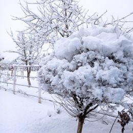 Фотография от Людмила Кравченко(СОКОЛОВА)