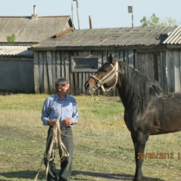 Фотография от Алексей Лесной