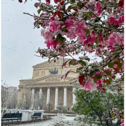 Фотография от Митислав Кальниченко