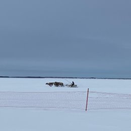 Фотография от Оксана Хасанова