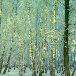 Фотография от Артур Сайфутдинов