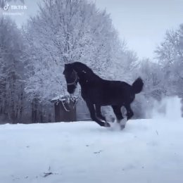 Фотография от Сергей Фокин