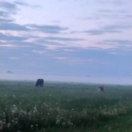 Фотография от Олег Долговский