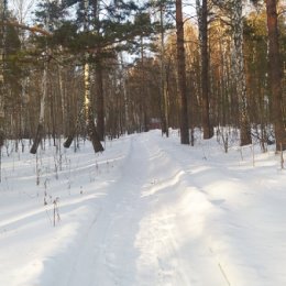 Фотография от Владимир Коновалов