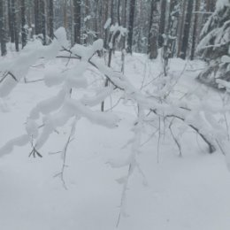 Фотография от Татьяна Старкова (Черпакова)