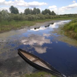 Фотография от Роман Негрей