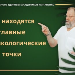 Фотография от Доктор Картавенко