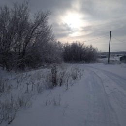 Фотография от Альбина Иванова