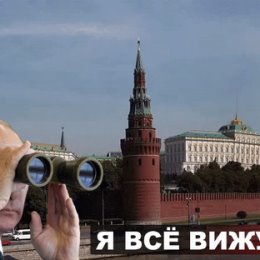 Фотография от Галина       Оль Тищенко      Свет