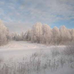 Фотография от Людмила Андросенко