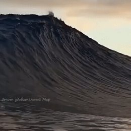 Фотография от Любовь Медведева (Дворцова)