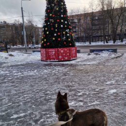 Фотография от Людмила Никитина (Легечко)