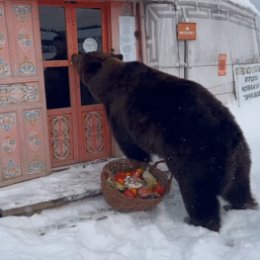 Фотография от Юрий Кульдишов