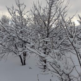 Фотография от Николай Уфимцев