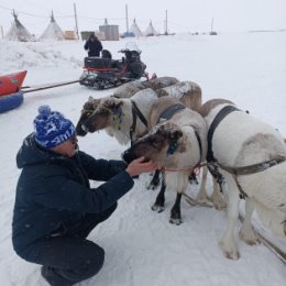 Фотография "День оленевода Салехард 26.03.2023г."