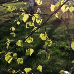 Фотография от Наталья Сухова (Зернова)