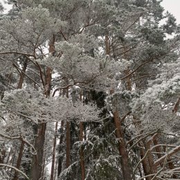 Фотография от Юлия Забелинская