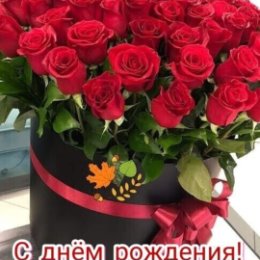 Фотография от валентина большедворская